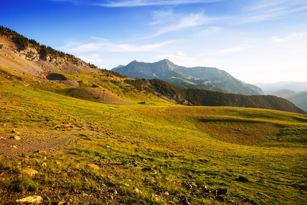 Vista de verano de la pradera de las tierras altas