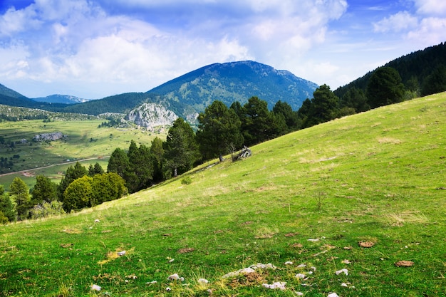 Foto gratuita vista de verano de la pradera de las tierras altas