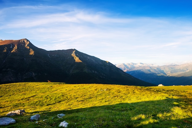 Vista de verano de las tierras altas de los Pirineos