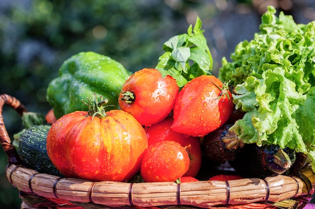 Foto gratuita vista de verduras húmedas en la mesa en el jardín