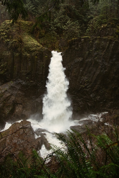 Vista vertical de una cascada rodeada de rocas y vegetación bajo la luz del sol durante el día