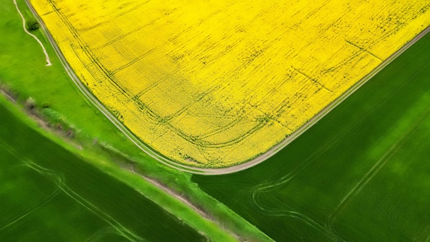 Foto gratuita vista vertical de drones aéreos de la naturaleza en moldavia campo sembrado amarillo y verde dividido