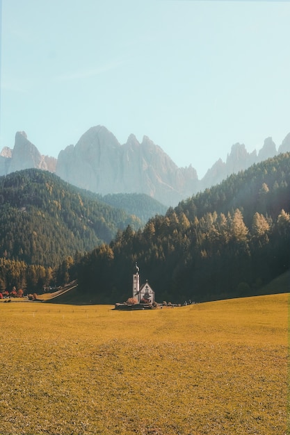 Vista vertical de un hermoso edificio en un campo de hierba seca rodeado por montañas boscosas