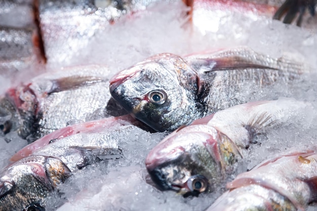 Foto gratuita vitrina con pescado refrigerado en la tienda de comestibles de cerca