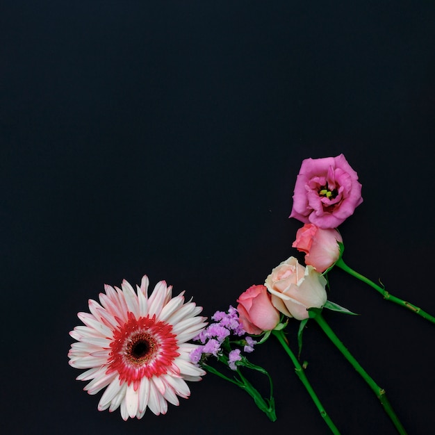 Vivas flores multicolores sobre fondo negro