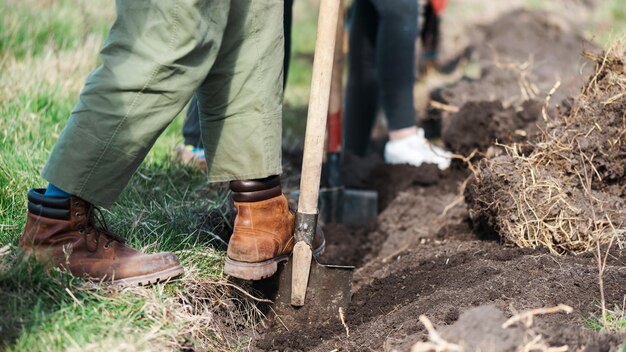 Voluntarios plantando árboles en la naturaleza.