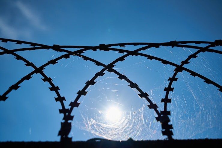Photo Gratis web in a metal grille