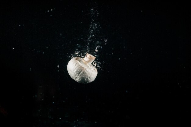 White hongo hace burbujas que caen en el agua sobre fondo negro
