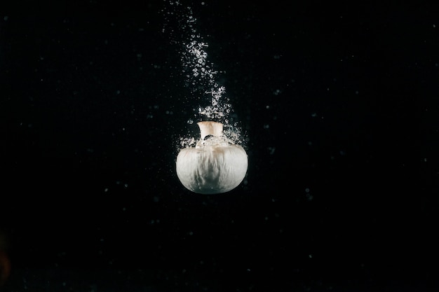 White hongo hace burbujas que caen en el agua sobre fondo negro