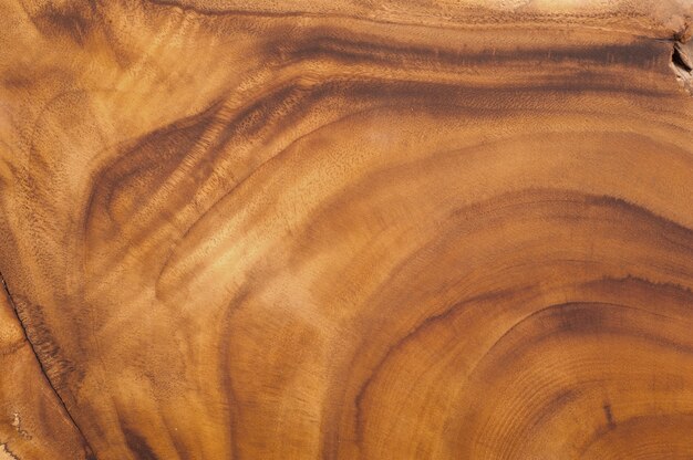 Wooden texture with abstract shapes