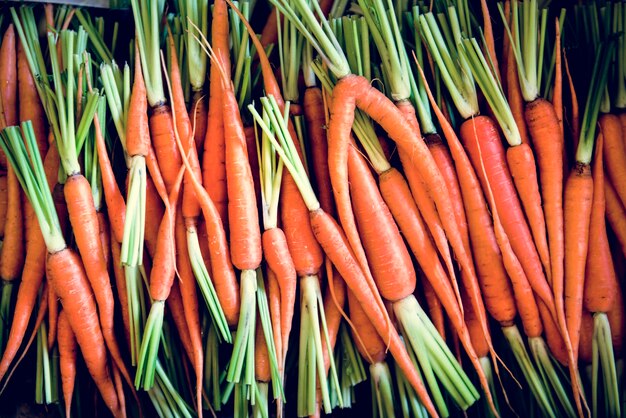 Zanahoria orgánica frescura de alimentos naturales