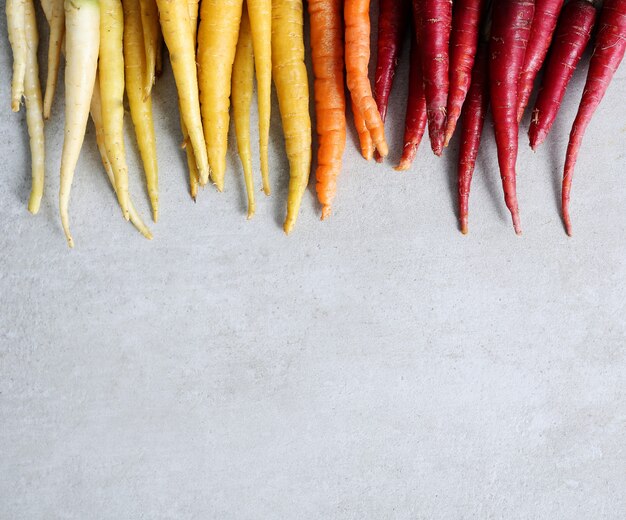 Zanahorias coloridas sobre fondo de hormigón