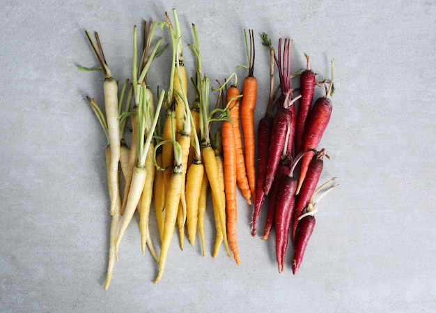 Zanahorias coloridas