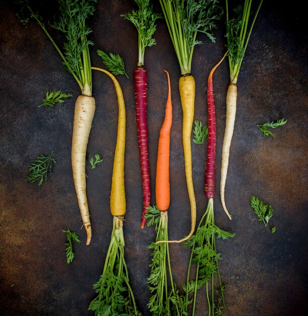 Zanahorias de diferentes colores con raíces.