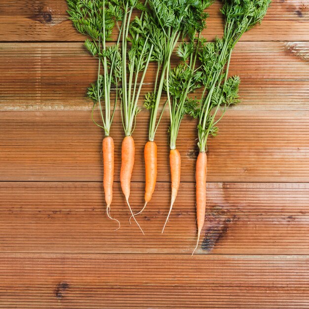 Zanahorias con tapas