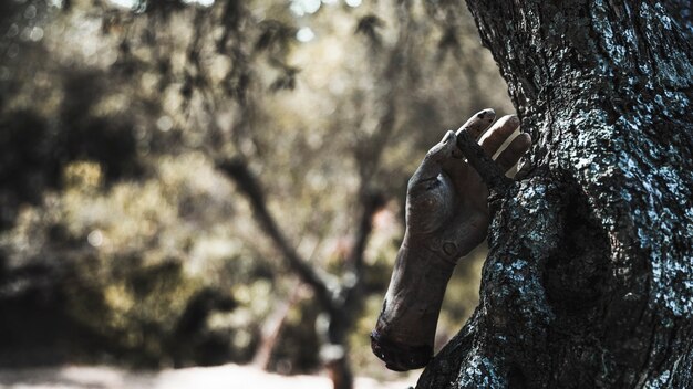 Zombie brazo colgando de un árbol en el bosque soleado