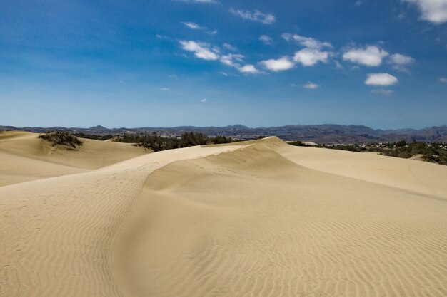 Zona desértica con dunas de arena con una cadena montañosa