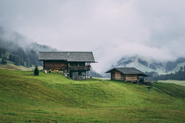 Zona rural con casas de madera rodeadas de bosques con colinas cubiertas de niebla en el