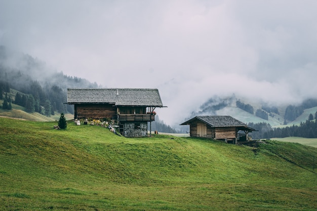 Zona rural con casas de madera rodeadas de bosques con colinas cubiertas de niebla en el