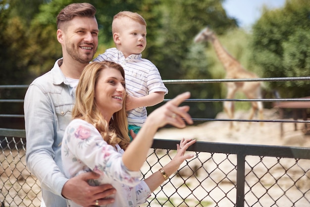 Foto gratuita el zoológico no es solo para niños