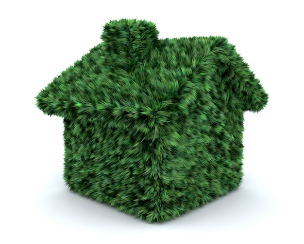 3D rendering di una casa coperti in erba isolato su bianco