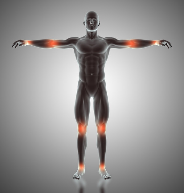 3D rendering di una figura maschile con le articolazioni evidenziate