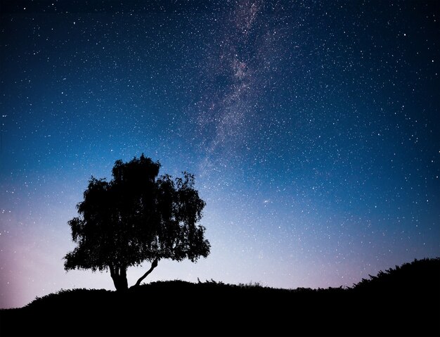 Abbellisca con il cielo stellato notturno e la siluetta dell'albero sulla collina. Via Lattea con albero solitario, stelle cadenti.