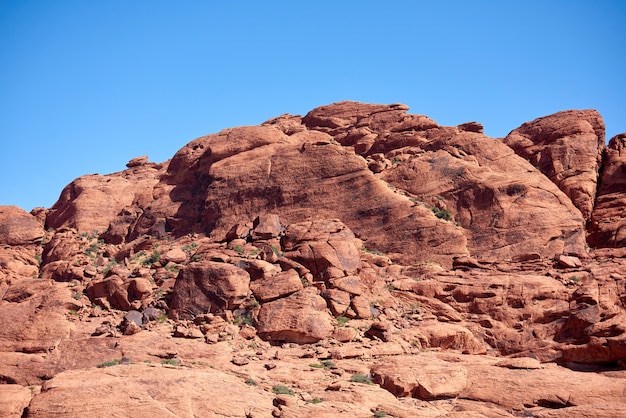 Abbellisca in canyon rosso della roccia, Nevada, USA