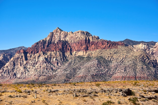 Abbellisca in canyon rosso della roccia, Nevada, USA