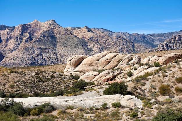 Abbellisca in canyon rosso della roccia, Nevada, USA