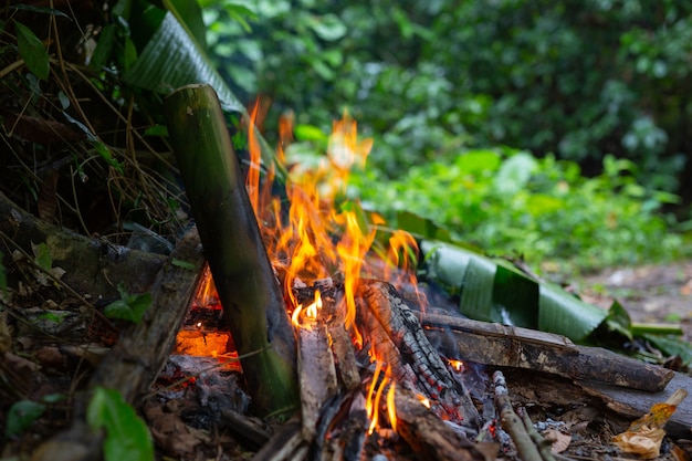 Accendere il fuoco nella foresta per il campeggio.