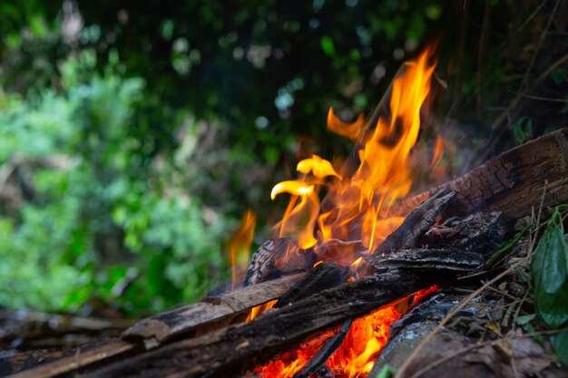 Accendere il fuoco nella foresta per il campeggio.