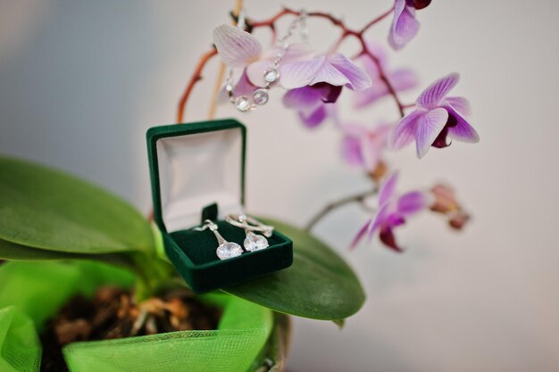 Accessori da sposa di orecchini da sposa sull'orchidea fiore