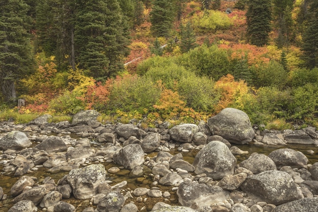 Acqua che scorre in mezzo alle rocce con alberi di colore diverso