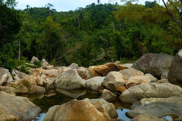 Acqua in mezzo alle rocce con una montagna boscosa