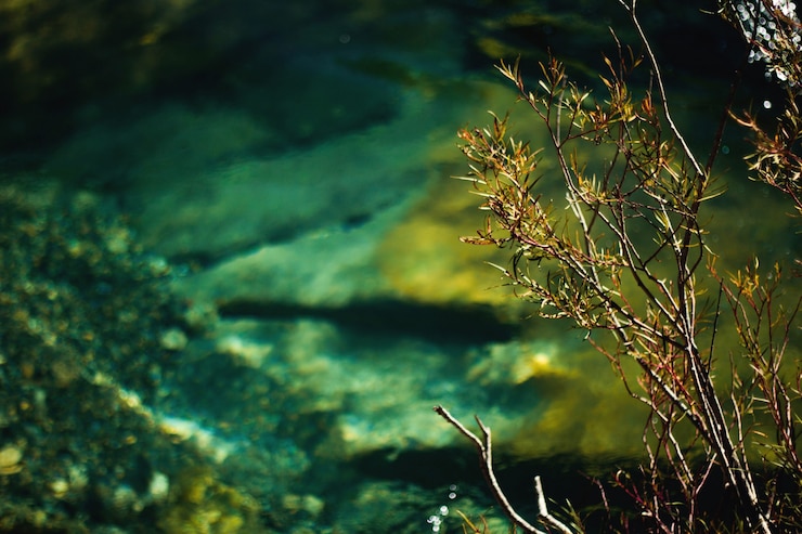 Foto gratuito acqua limpida