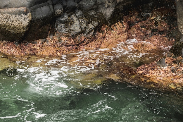 Acqua ondulata del primo piano alla riva rocciosa