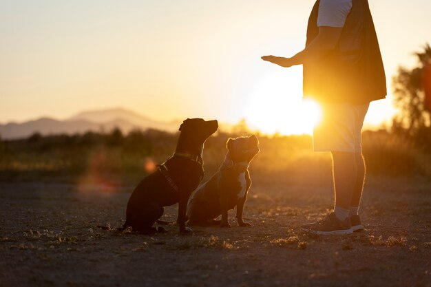 Addestratore di cani che salta con i cani