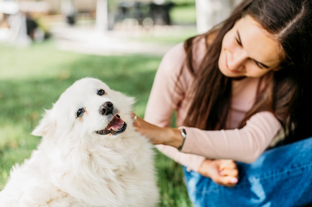 Adorabile cane accarezzato dal proprietario