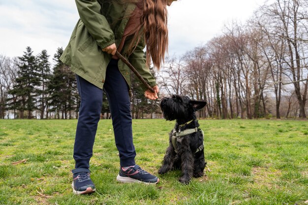 Adorabile cane al parco in natura con il proprietario