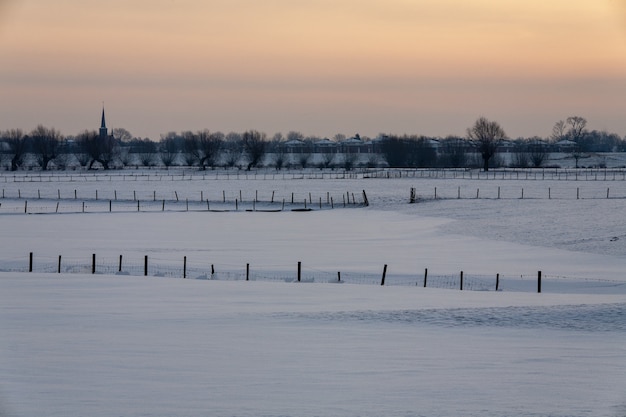 Affascinante paesaggio invernale coperto di soffice neve nei Paesi Bassi