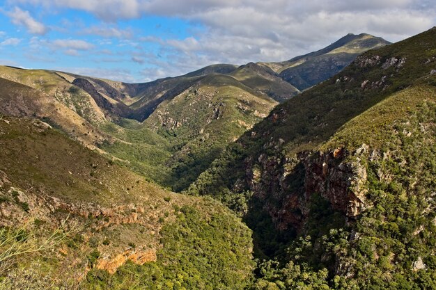 Affascinante scenario montuoso coperto di vegetazione sotto il cielo nuvoloso