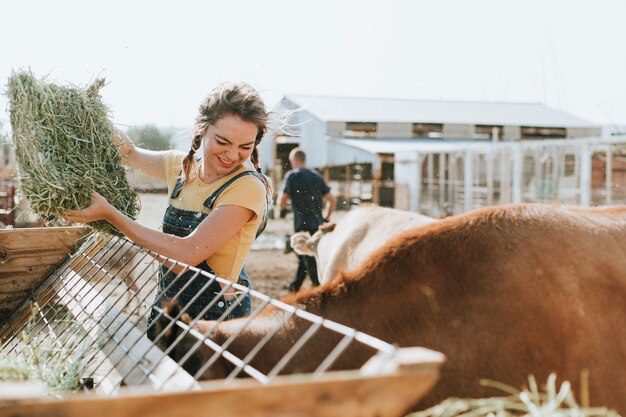 Agricoltore che si prende cura degli animali