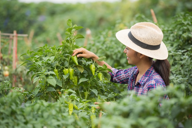 Agricoltore donna di mezza età, con peperoncino biologico a portata di mano