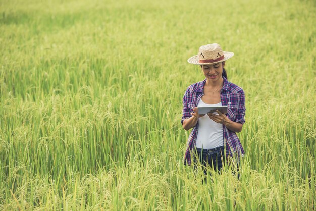 Agricoltore in piedi in un campo di riso con un tablet.