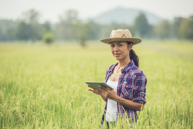 Agricoltore in piedi in un campo di riso con un tablet.