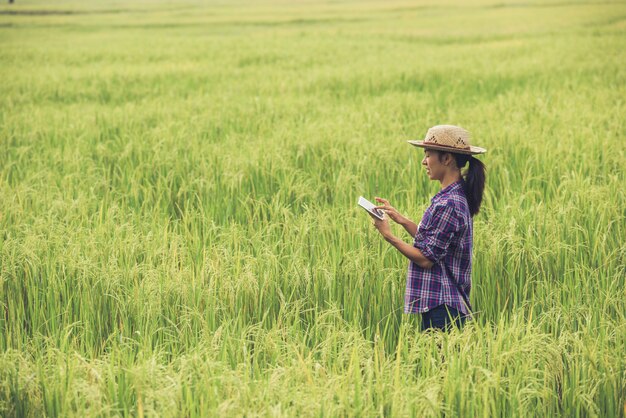 Agricoltore in piedi in un campo di riso con un tablet.