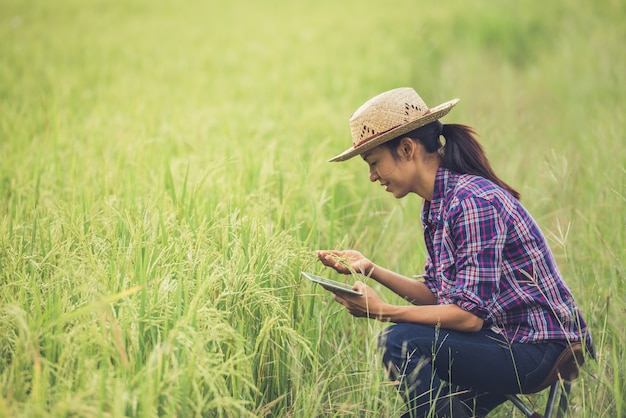 Agricoltore in piedi in un campo di riso con un tablet.