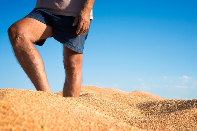 Agricoltore in piedi nel mucchio di grano nel rimorchio