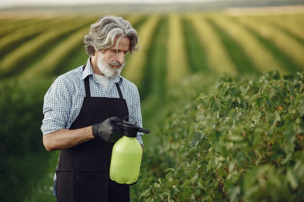 Agricoltore la spruzzatura di verdure in giardino con erbicidi. Uomo con un grembiule nero.